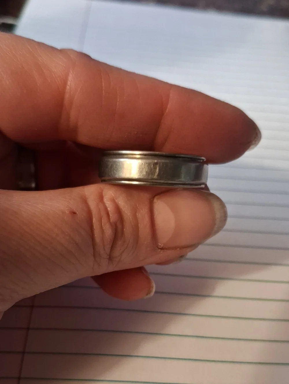 Mens Titanium Spinner Wedding Ring With Stone